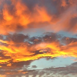 Meet your Posher, Dustin